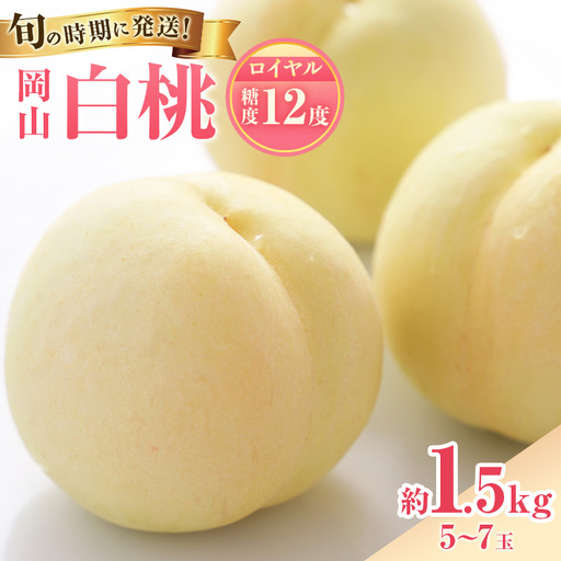 白桃 特秀ロイヤル 中玉 岡山県産 白桃【約1.5kg 5～7玉】【先行予約】