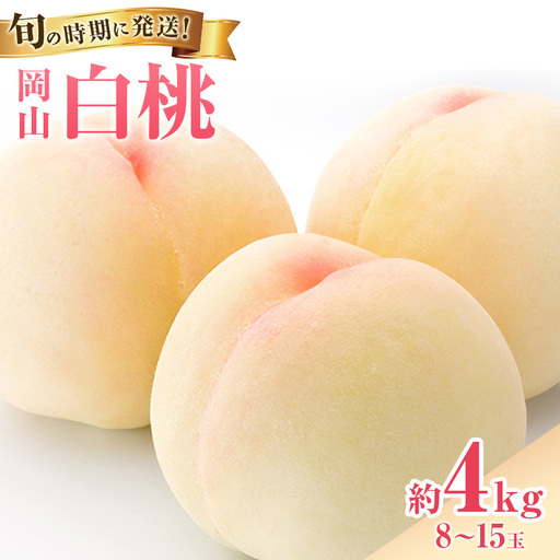 白桃 秀品 大玉 岡山県産 白桃【約4kg 8～15玉】【先行予約】