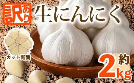 [先行予約!2027年5月上旬以降順次発送予定][訳あり・家庭用]香川県産 生にんにく(約2kg) 国産 野菜 生ニンニク 産地直送 [man068][Aglio nero]