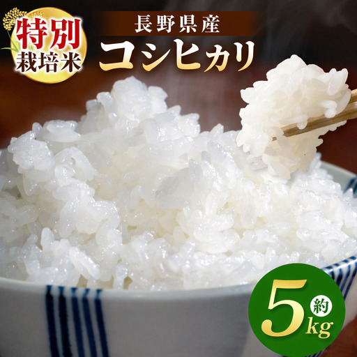 木島平産 特別栽培米コシヒカリ 約5kg （株）岳農 | 米 お米 特別栽培米 こしひかり コシヒカリ 長野県 木島平村 信州