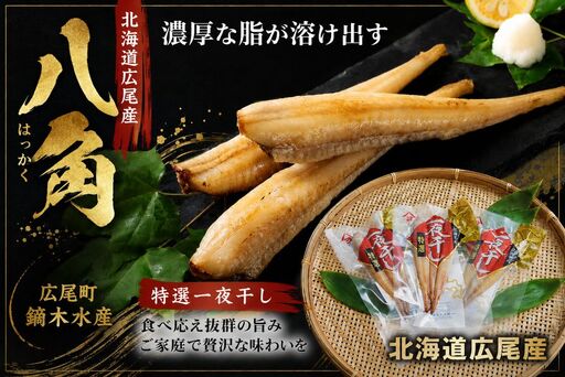 干物専門店かぶらぎ水産の広尾産八角一夜干し９尾セット(J0029)