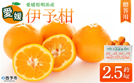 ＜伊予柑 贈答用 約2.5kg＞ ギフト いよかん イヨカン みかん 蜜柑 柑橘 果物 くだもの フルーツ ミカン 愛媛 国産 2.5キロ 果汁 ジューシー 明浜 特産品 笑丸 愛媛県 西予市【常温】『2026年1月下旬より順次出荷予定』AAN0071