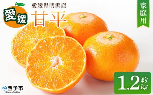 [先行予約][甘平 家庭用 約1.2kg] ご家庭用 かんぺい 高級 柑橘 ブランド みかん 蜜柑 訳あり 果物 くだもの フルーツ ミカン 愛媛 国産 ジューシー 明浜 特産品 笑丸 愛媛県 西予市[常温]『2027年2月上旬より順次出荷予定』AAN0075
