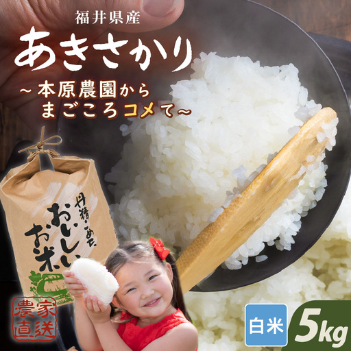 先行予約 令和8年産 新米 あきさかり 白米 5kg ×1袋 精米 5kg ブランド米 2026年10月上旬以降順次発送 [A-8986_01]