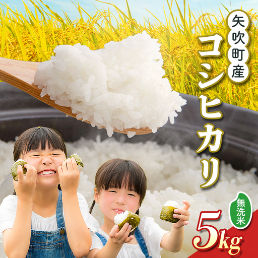 矢吹町産 コシヒカリ 令和7年産米 無洗米 5kg F6U-476
