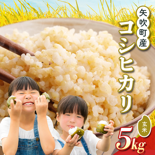 矢吹町産 コシヒカリ 令和7年産米 玄米 5kg F6U-477