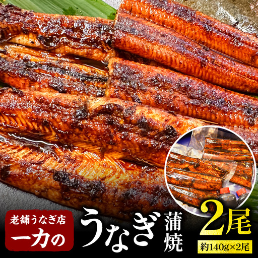 うなぎ 蒲焼 うなぎ[国産 2尾 約280g 一力]