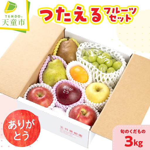 つたえる フルーツ セット 3kg 果物 山形 フルーツ