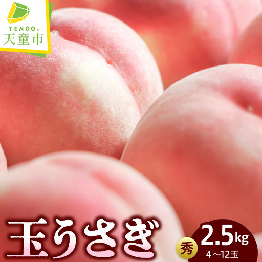 もも 玉うさぎ 2.5kg フルーツ 果物 山形 モモ