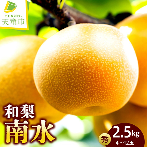 和梨 ( 南水 ) 約 2.5kg フルーツ 果物 山形 梨