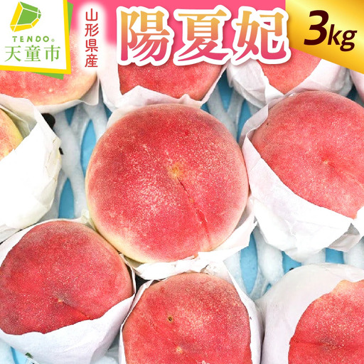 もも 陽夏妃 3kg フルーツ 果物 山形 紅桃 モモ