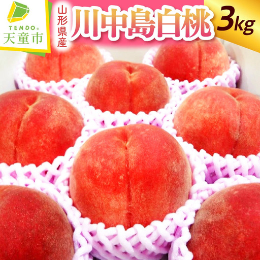 もも 川中島白桃 3kg フルーツ 果物 山形 桃