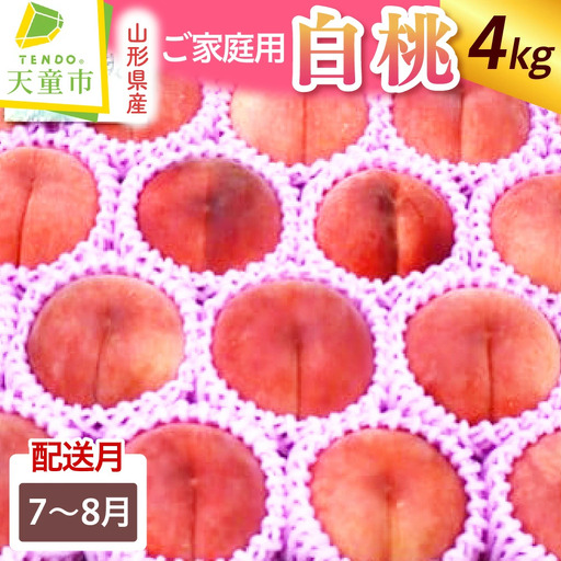 もも 白桃 7.8月 ご家庭用 4 ～ 4.5kg フルーツ 山形