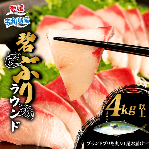 鰤 ぶり ブリ 碧ぶり 活締め ラウンド 4kg 南予ビージョイ 冷蔵 活〆 丸々 1尾 buri 碧鰤 ブランド 養殖ぶり 養殖鰤 鰤しゃぶ ぶりしゃぶ お刺身 さしみ 刺身 刺し身 たたき 漬け丼 漬丼 海鮮丼 寿司 ネタ お寿司 鍋 国産 愛媛 宇和島 D038-150025