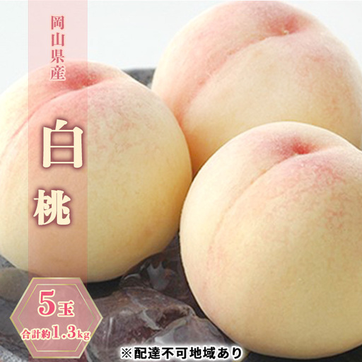 桃 2026年 先行予約 白桃 5玉 合計約1.3kg  岡山県産 桃