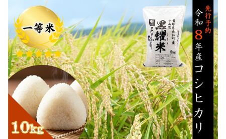 [先行受付]令和8年産 コシヒカリ10キロ(5kg×2袋) 天然の軟水「黒耀水」育ちのお米 長野県長和町産 農家直送 一等米精白米