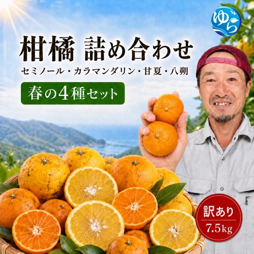 柑橘詰め合わせ 4種 7.5kg 【2027年4月中旬～下旬頃に順次発送予定】/ 和歌山 柑橘 甘い 果物 家庭用 【kwgc049-c-7d5B】