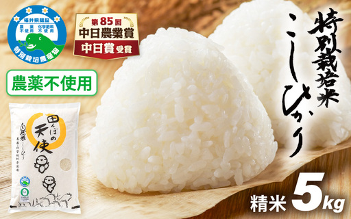 [中日賞受賞]農薬不使用 特別栽培米コシヒカリ5kg[精米] 福井県認証区分1取得「田んぼの天使」 [e10-b008]