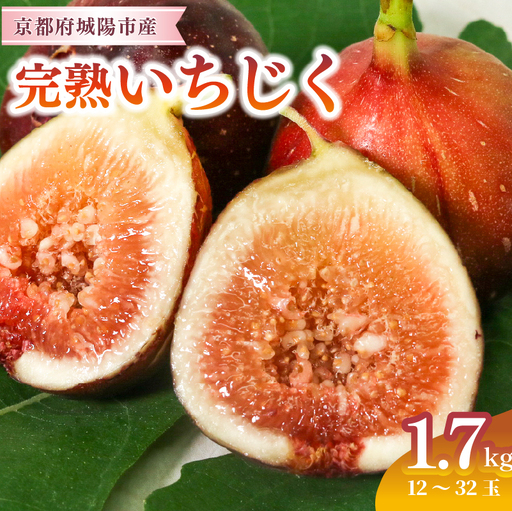 完熟いちじく 約1.7kg(7月下旬発送) いちじく 京都府産