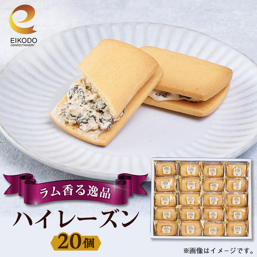 東京都東村山市 栄光堂製菓 ハイレーズン 20個入