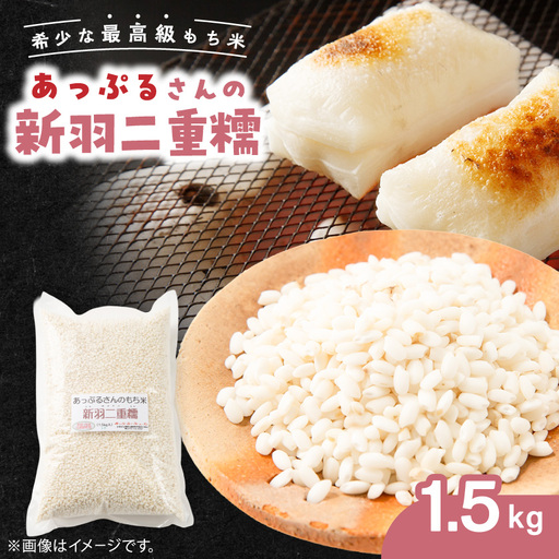 【京都府固有種・希少もち米】 新羽二重糯1.5kg 　冷めてもやわらかい、最高級のもち米　農家直送【1712850】