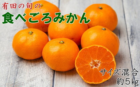 【先行予約】有田の旬の食べごろ みかん 約5kg（サイズ混合）