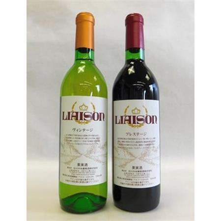 山梨の地ワイン2本セット(日川中央葡萄酒　赤白)【配送不可地域：離島】【1204330】