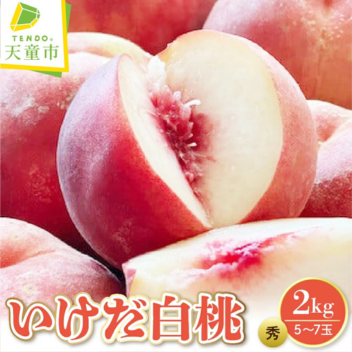 もも ( いけだ 白桃 ) 2kg フルーツ 果物 山形 桃