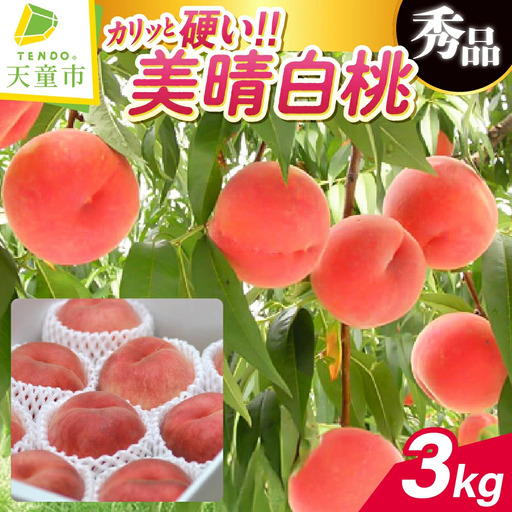 硬い !! もも 美晴白桃 3kgフルーツ 果物 山形 桃