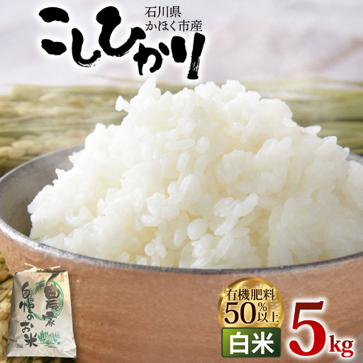 【令和8年産 新米】こしひかり  白米 5kg | コシヒカリ 