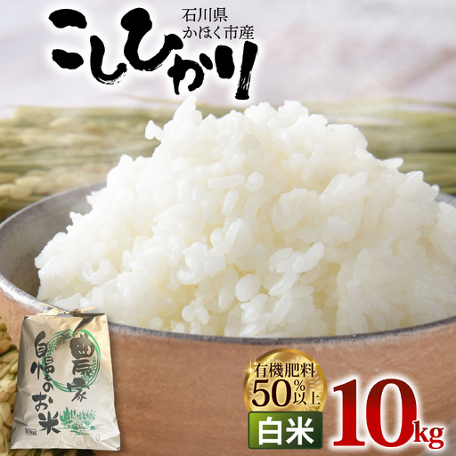 【令和8年産 新米】こしひかり  白米 10kg | コシヒカリ 