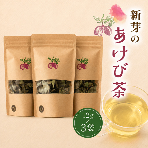 新芽のあけび茶 12g×3 / アケビ 岡山県 真庭市 しげや 【shigeya009-01】