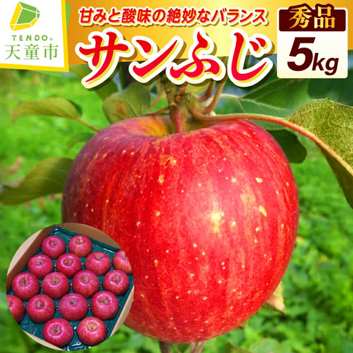 りんご サンふじ 5kg フルーツ 果物 山形 リンゴ