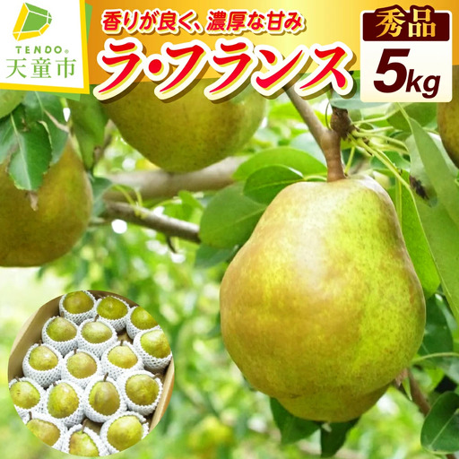 ラフランス 5kg 果物 洋梨 山形 ラ・フランス