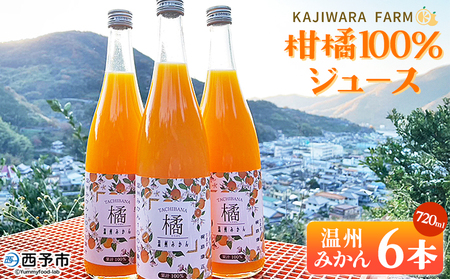 [柑橘100%ジュース (温州みかん6本)] 温州みかん ストレートジュース 果汁100% ミカン 蜜柑 果物 柑橘 かじわらFARM 愛媛県 西予市[常温]『1か月以内に順次出荷予定』
