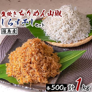 [篠島産]生炊きちりめん山椒・しらす干しセット 計1kg