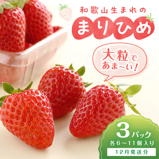 和歌山生まれのイチゴ【まりひめ】大粒3パック12月発送分《先行予約》いちご【0295-6】