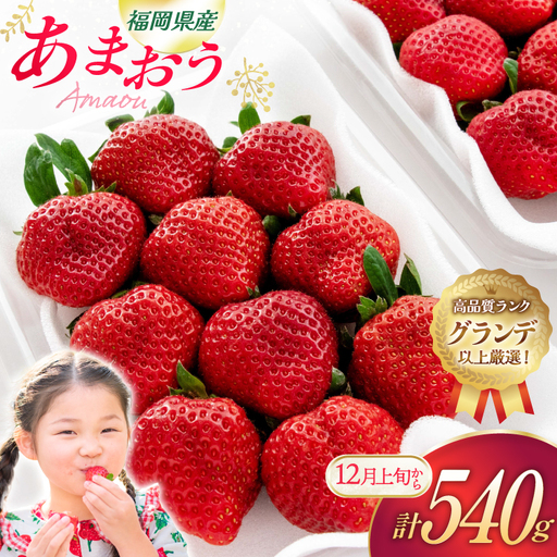 いちご あまおう 270g 2p 計540g【12月発送】