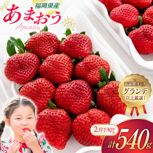 いちご あまおう 270g 2p 計540g[2月後半-3月後半発送] 2027年発送 先行予約