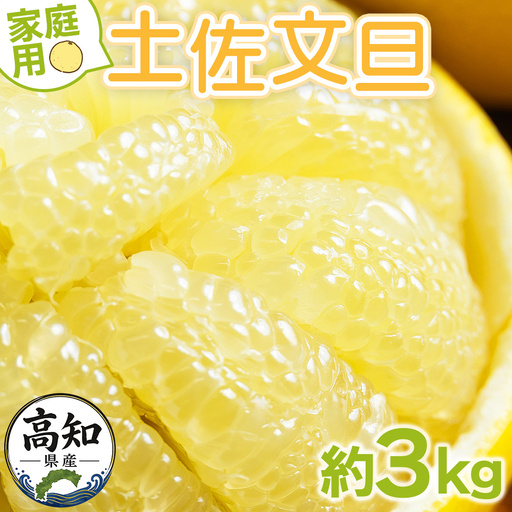 土佐文旦 家庭用 3kg 大小混合(サイズ：L～3L) 文旦 yk-0083