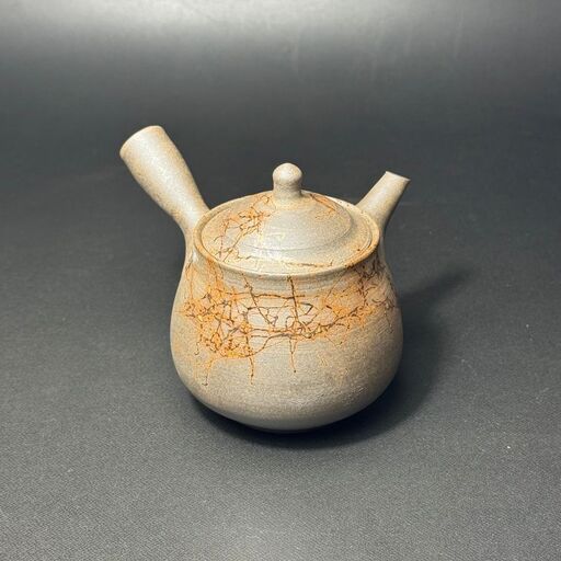 仁 18号炭化洋梨藻掛茶注(木)1-181|陶器 やきもの 焼き物 手作り 谷川仁 職人 伝統工芸品 急須 常滑焼愛知県 常滑市