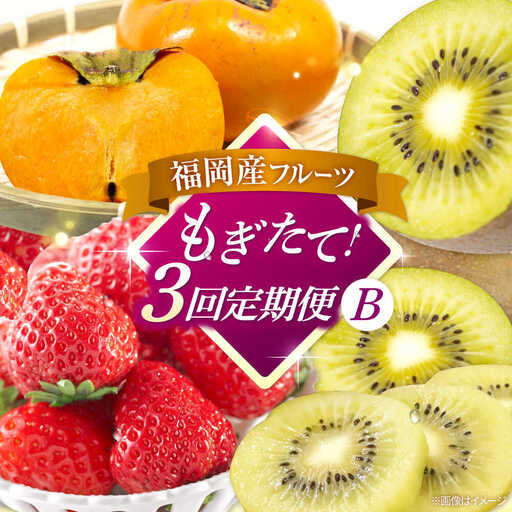 【全3回定期便】九州・福岡もぎたて フルーツ定期便 B　桂川町/一般社団法人地域商社ふるさぽ[ADCF018]
