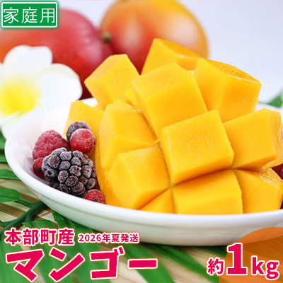 マンゴー[2026年夏発送]もとぶ町産マンゴー(家庭用)約1kg詰め フルーツ