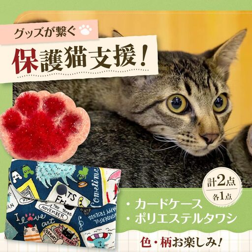 ねこ柄カードケース＆ポリエステルタワシ 大阪府高槻市/Cuddle cat[AOEW002]