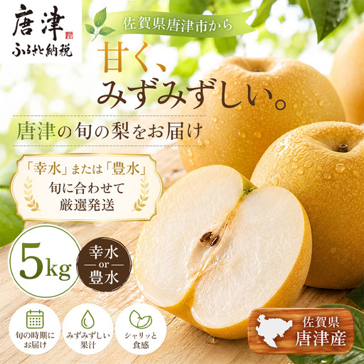 『先行予約』[令和8年7月上旬より順次発送]唐津産 梨 5kg[旬の味覚]幸水 豊水