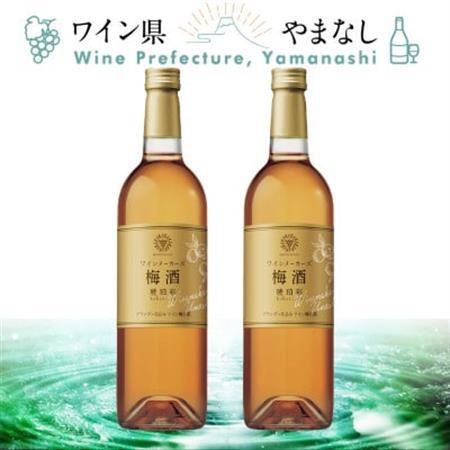マンズ ワイナリー ワインメーカーズ梅酒 琥珀彩 2本セット【配送不可地域：離島】【1607396】
