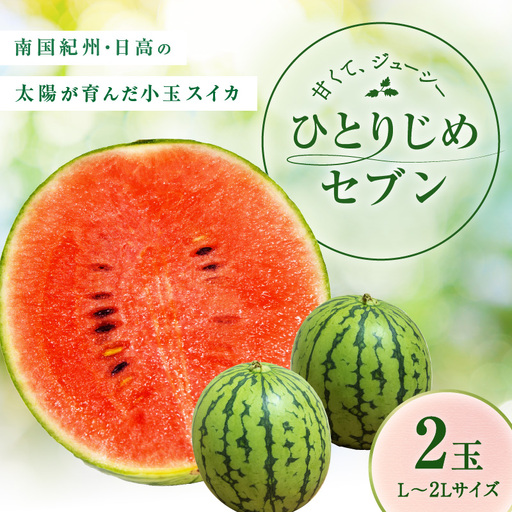 南国紀州・日高の太陽が育んだ小玉スイカ(ひとりじめセブン)[先行予約2027年5月中旬より順次発送予定][配送不可地域:北海道・沖縄・離島][0412-4]