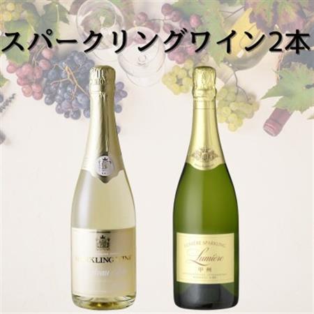 スパークリングワイン2本セット(5)　049【1684419】