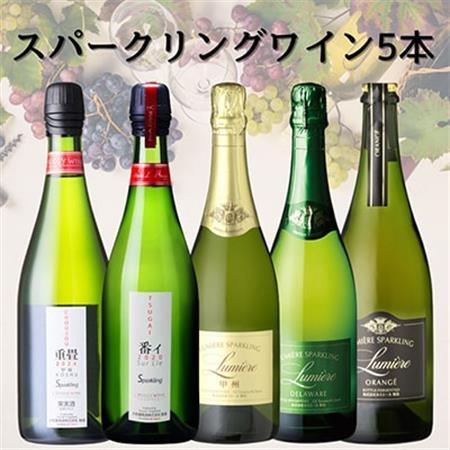 山梨県産スパークリングワイン5本　053【1684854】