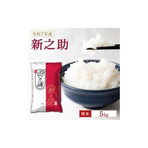 米 令和7年産 新潟産なんかん米 新之助 精米5kg